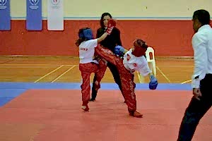 kickboks tekme